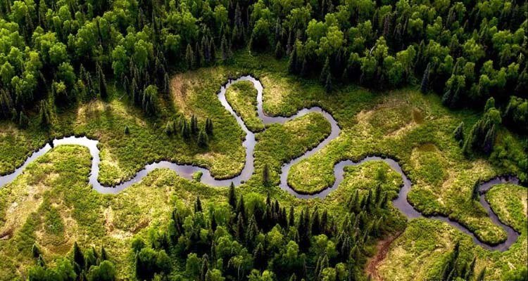 There are no straight lines in nature